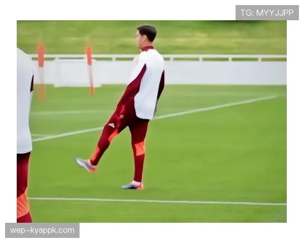 杜埃与迪巴拉脚下技术特点及实战适配性差异解析